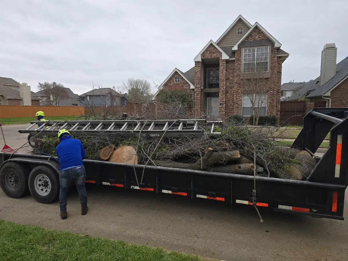 Expert Tree Removal with proper safety equipment in Lobelville